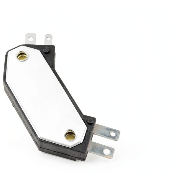 JDMSPEED Ignition Module Universal Metal Screw-1